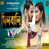 DILWALI দিলবালি KUNDAN & KANIKA NEW PURULIA ROMANTIC SONG 2024 (DjWebKing.In)