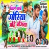 मिले आबे गोरीया ओहे बगिया NEW THET NAGPURI MP3 SONG 2024(DJWEBKING.IN))