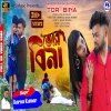 Tor Bina তোর বিনা Karna Kumar New Purulia Sad Song 2024(Djwebking in)