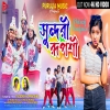 Sundori Ruposhi Jagdish Priyanka Debraj Sanjana New Purulia Mp3 Song 2024(Djwebking.in)