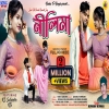 Nilima নীলিমা Kundan Kumar New Purulia Song 2024 Sailendra Ritu(Djwebking.in)