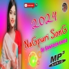 New Nagprui Dj Song Tor Masoom Chehra New Nagprui Dj Song 2024(Djwebking in)