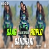 SAAG ROPLO GANDHARI OLD NAGPURI DJ SONG 2024 Dj Ars Remix Prod Ranchi Dj Boys(Djwebking in)