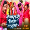 kekra ke jiya tarsaibai  ककर क जय तरसभ   RAJ BHAI MP3 SONG 2024 kekra jiya jarbhi(Djwebking.in)