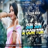 Sun Sun Gori Tor Se GRV Edition Blaster Mix DjGour Rock(DjWebKing In)