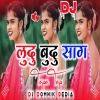 LUDU BUDU SAG New Nagpuri Song 2024 Singer Kumar Satish Dj Domnik Sukhdev (Djwebking in)