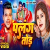 Palang Tod पलंग तोड़ New Bhojpuri Song 2024(DjWebKing In)