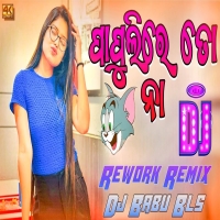 Papulire To Naa Odia Song Dj New Odia Dj Song Sambalpuri Dj Song 2024Djwebking.in