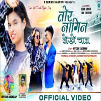 तोर नागिन लखे चाल TOR NAGIN LAKHE CHAL NEW NAGPURI MP3 Song 2024Djwebking.in