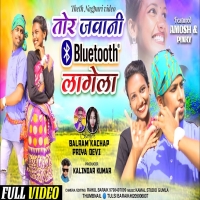 तोर जवानी Bluetooth लागेला NEW THETH NAGPURI MP3 SONG 2024Djwebking.in