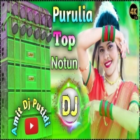 Purulia Dj Song Kulfi Rani কুলফি রানি Purulia Dj Song Remix Dj Amit PutidiDjwebking.in