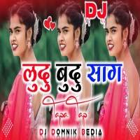 LUDU BUDU SAG New Nagpuri Song 2024 Singer Kumar Satish Dj Domnik Sukhdev Djwebking.in