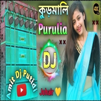 Chare Biha Kore Dj Song purulia dj song 2024 new Kudmali Song Dj Amit PutidiDjwebking.in